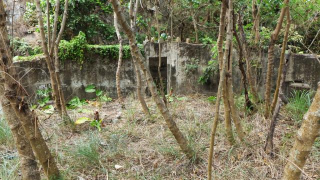 Jubilee Battery no. 3 6-inch MKVII coastal gun emplacement