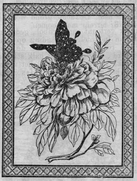 Hotz s'Jacob & Co.: 1900 trade mark registration - flower and butterfly