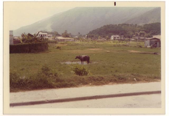 New Territories 1972