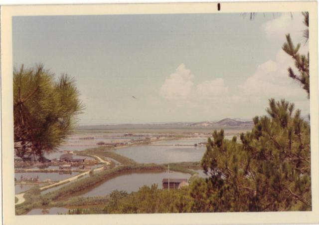 Lok Ma Chau,1972