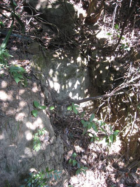 japanese tunnel below Pinewood Battery