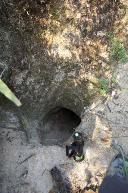 Opening No.1 , Jardine's Lookout Tunnel