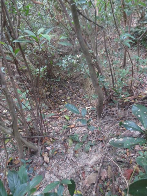 Trench above Stanley Gap Road