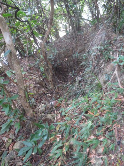 Trench above Stanley Gap Road