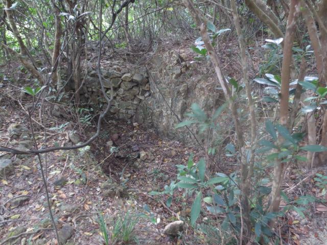 Trench above Stanley Gap Road