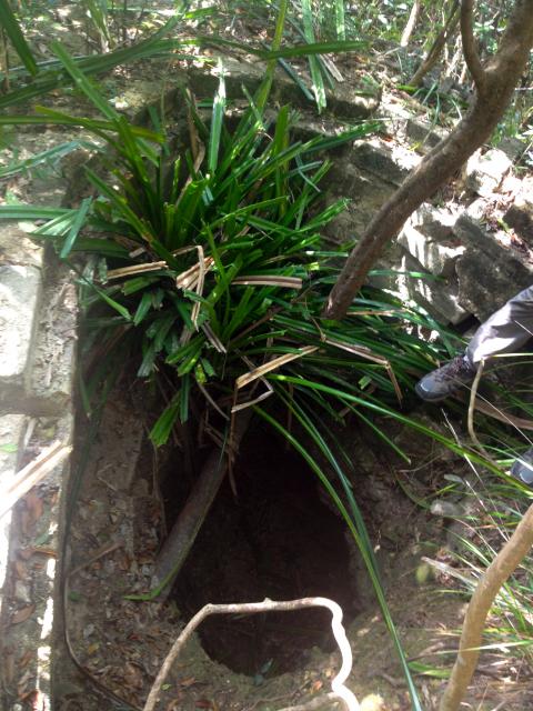 Japanese PIllbox / Tunnel, Mt Cameron