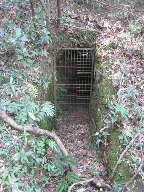 Japanese tunnels #1, Wilson Trail Stage 5