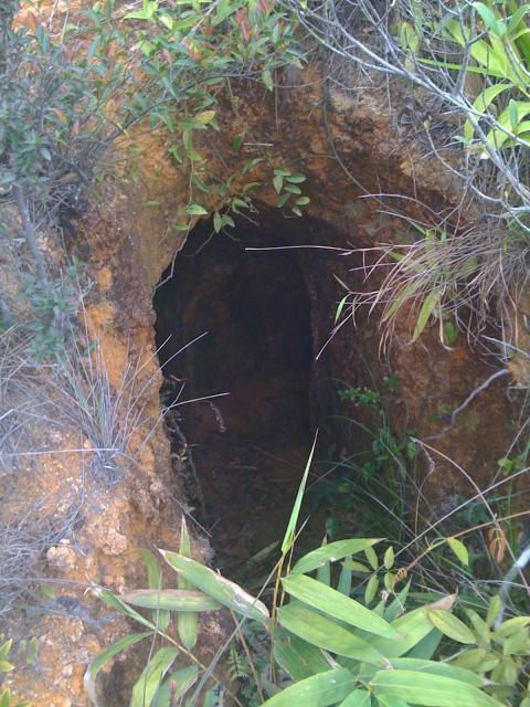 Jardine's Lookout Tunnel