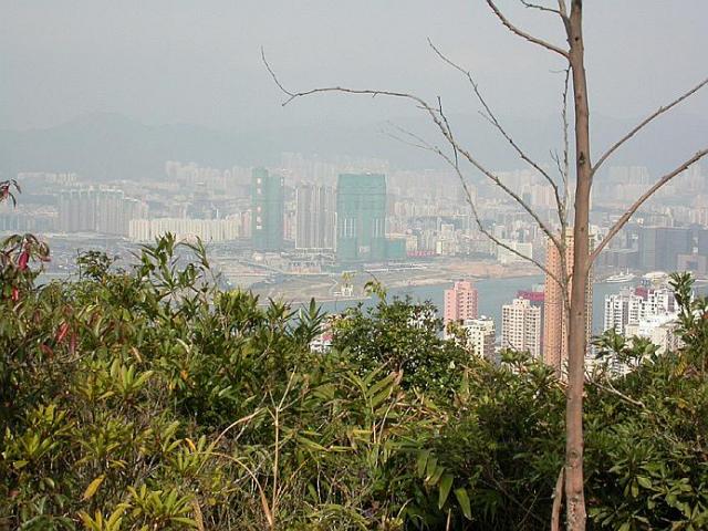 2003 - view from Pinewood Battery