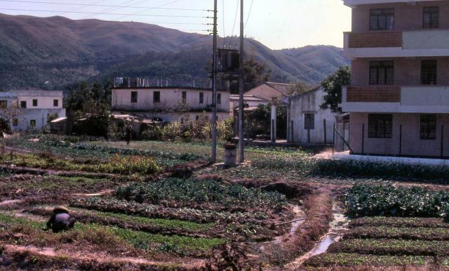 1980 - Lantau Island near Silvermine Bay