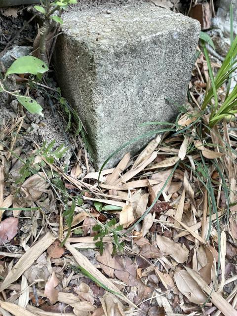  Unmarked stone found at the bottom of the Pokfulam Trail to High West