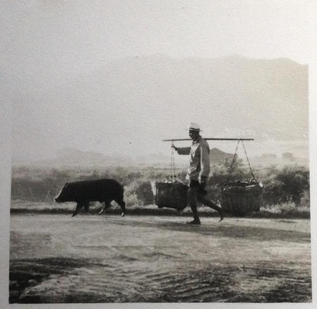 Rural life in New Territories in 1958. Near Sheung Shui.