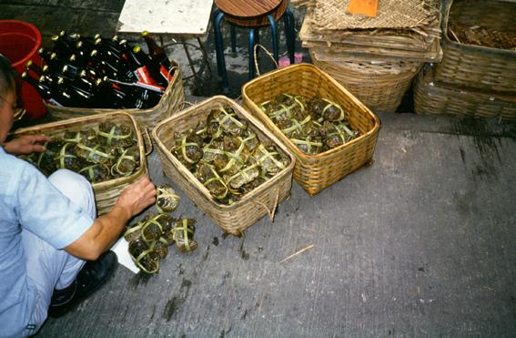 Pre packed crabs Wan Chai