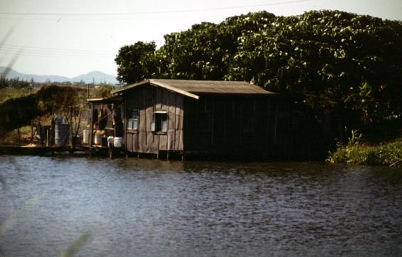 Fish Farm