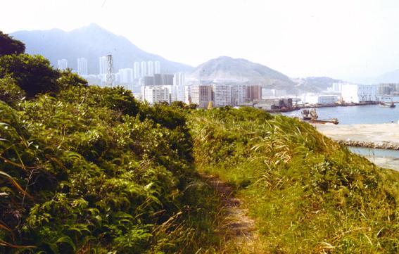 Lighthouse Path To Chaiwan.