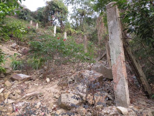 Fence posts running down the slope from South Bay Road.