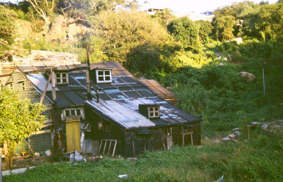 Wooden house