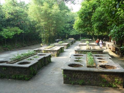 Wartime Cooking Area F, above Quarry Bay