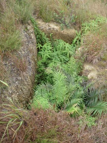 Trench at Ki Lun Shan