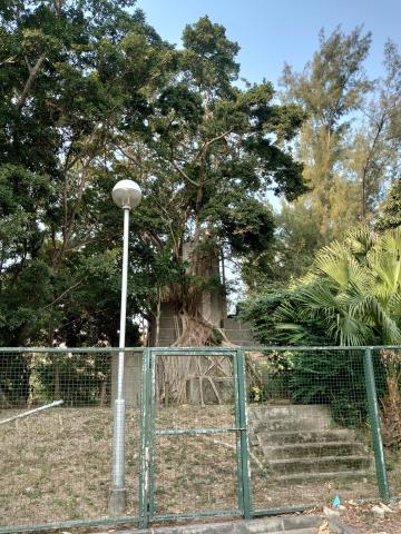 HK Observatory Signal Station - Kowloon Hospital