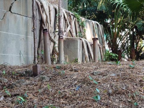 Stair step and Pipes near Hong Kong Observatory Signal Tower at Kowloon Hospital