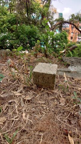 Lot Stone near NW corner of the Tower