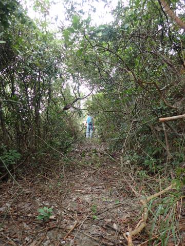 Uphill military road towards AASL storeroom