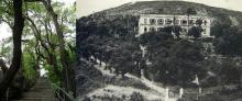 Basel House in 1940s and 100 years old Camphor Trees, Hong Kong Now and Then