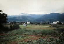 Fields in the New Territories