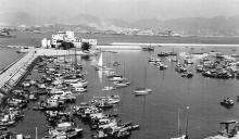 1950s Causeway Bay Typhoon Shelter