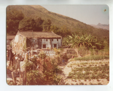 Cheng (Chan) Uk, Nam Chung, 1981.png