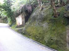 Pok Fu Lam Bunker 2