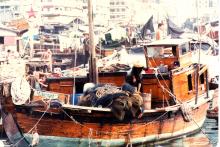 Shau Kei Wan fishing fleet