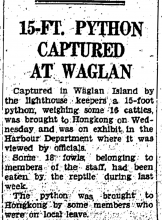 Python captured at Waglan Island-HK Daily Press-20-09-1940