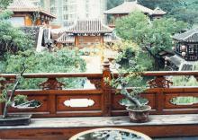 Sung Dynasty village street from rich man's house
