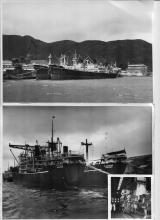 Taikoo Dockyard 1950s.jpg
