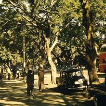 1956 Nathan Road 