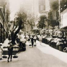 1925 Wyndham Street