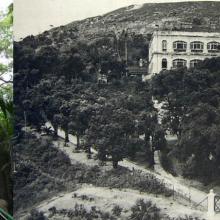 Basel House in 1940s and 100 years old Camphor Trees, Hong Kong Now and Then