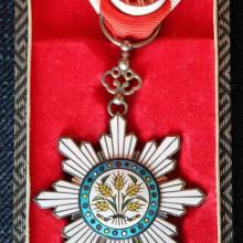 Chinese order of the Golden Rice Blade, issued to Willem Kien, 1920