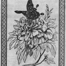 Hotz s'Jacob & Co.: 1900 trade mark registration - flower and butterfly