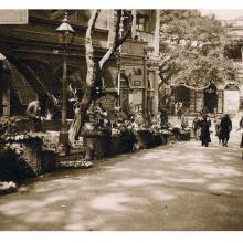 c. 1920 Flower (Wyndham) Street