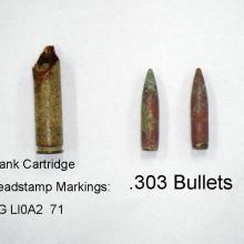 303 Bullets