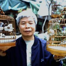 Bird Walker - Kowloon Bird Market 1999