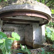 Looking for pillbox 72