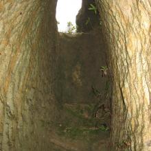 Tunnel behind the quarry