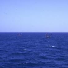 1966 Fishing junks under sail, out in the South China Sea.