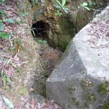 Back of AOP, and entrance to tunnel