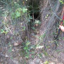 Japanese tunnels #1, Wilson Trail Stage 5