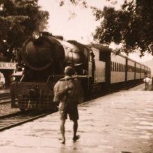 KCR Steam Train at Fanling Station 1953